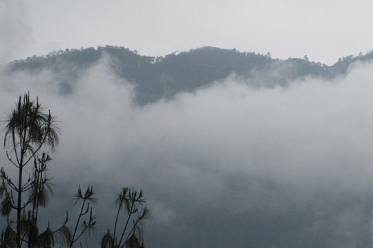 Tour image 6