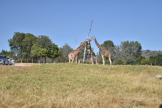 Tour image 1