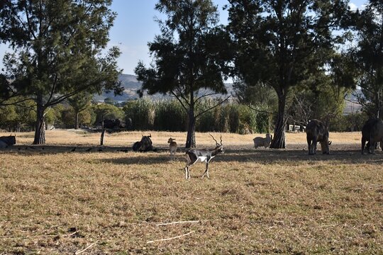 Tour image 10