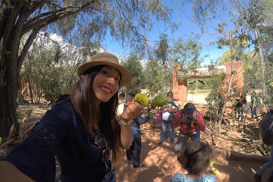 Tour image 11