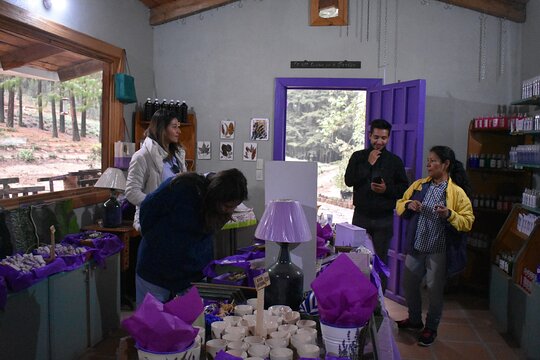 Tour image 6