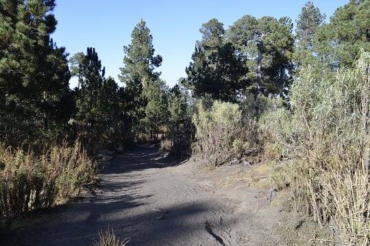 Tour image 5